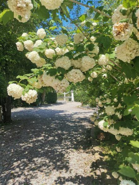 Le Clos De La Rose Gite Bien Etre Wirwignes 외부 사진
