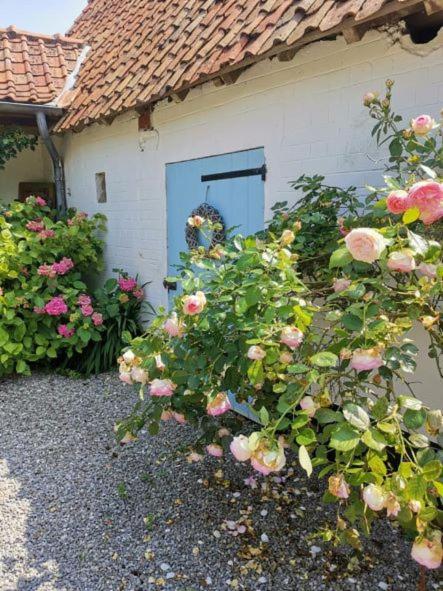 Le Clos De La Rose Gite Bien Etre Wirwignes 외부 사진